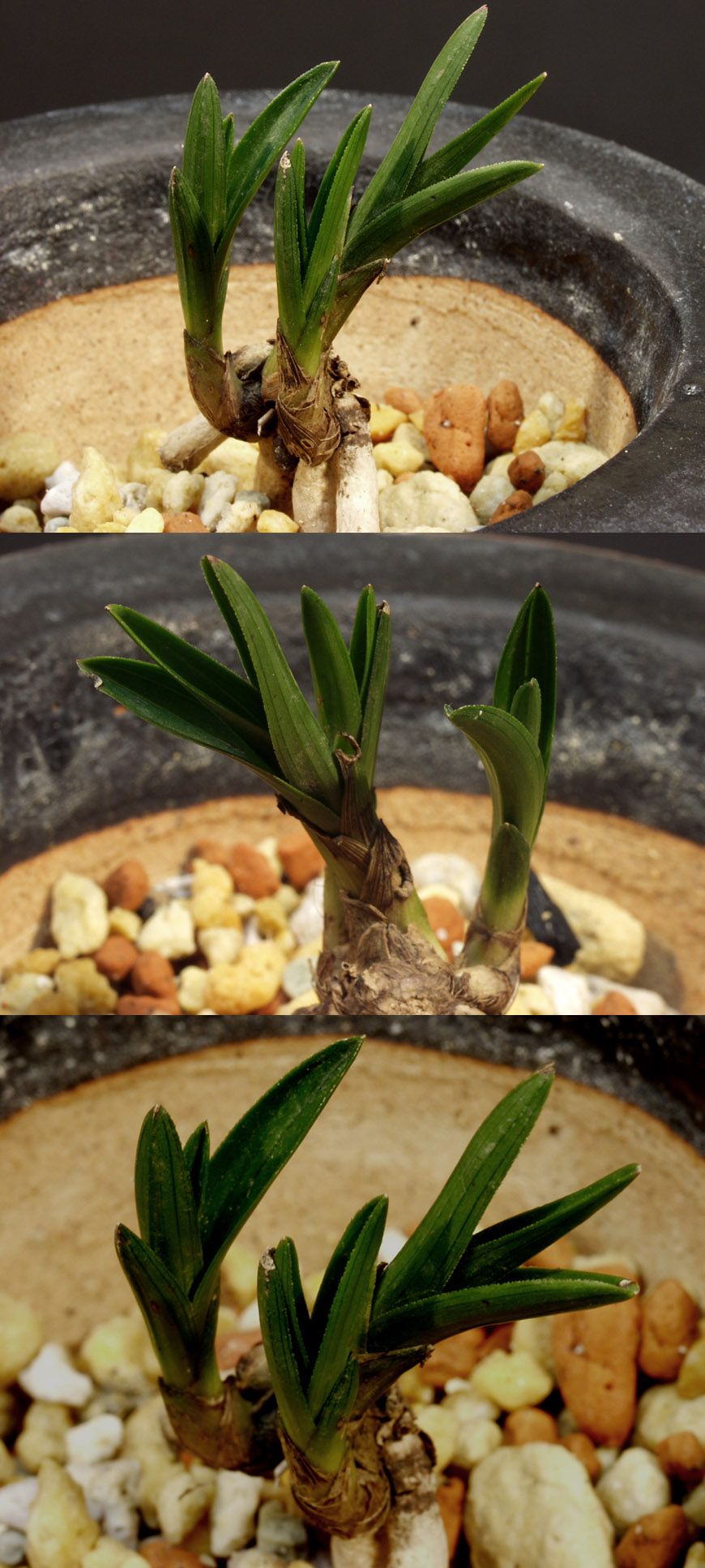 ������ ū������ �� �� �ֽ��ϴ�.