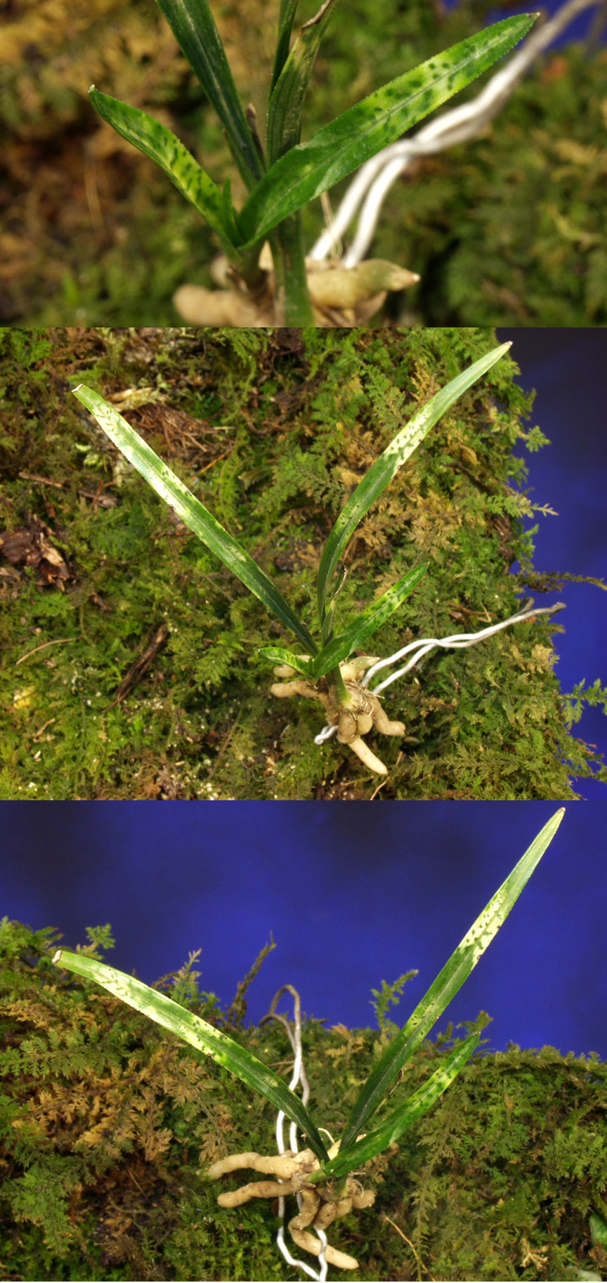 ������ ū������ �� �� �ֽ��ϴ�.