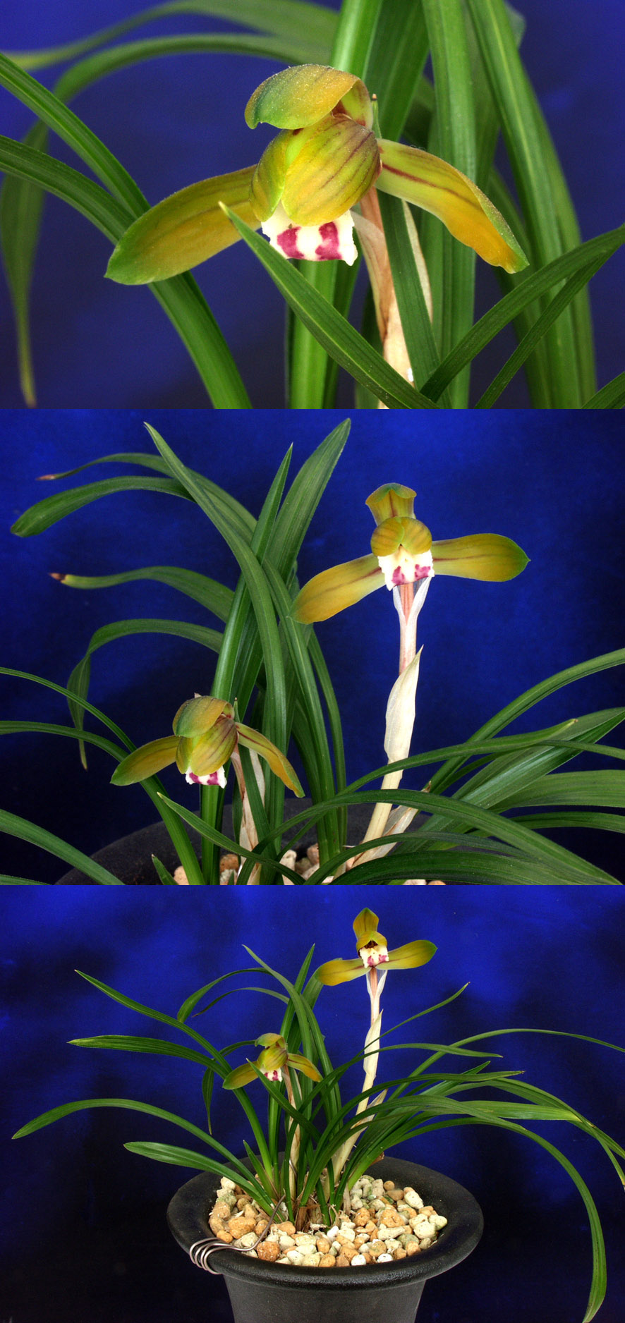 ������ ū������ �� �� �ֽ��ϴ�.