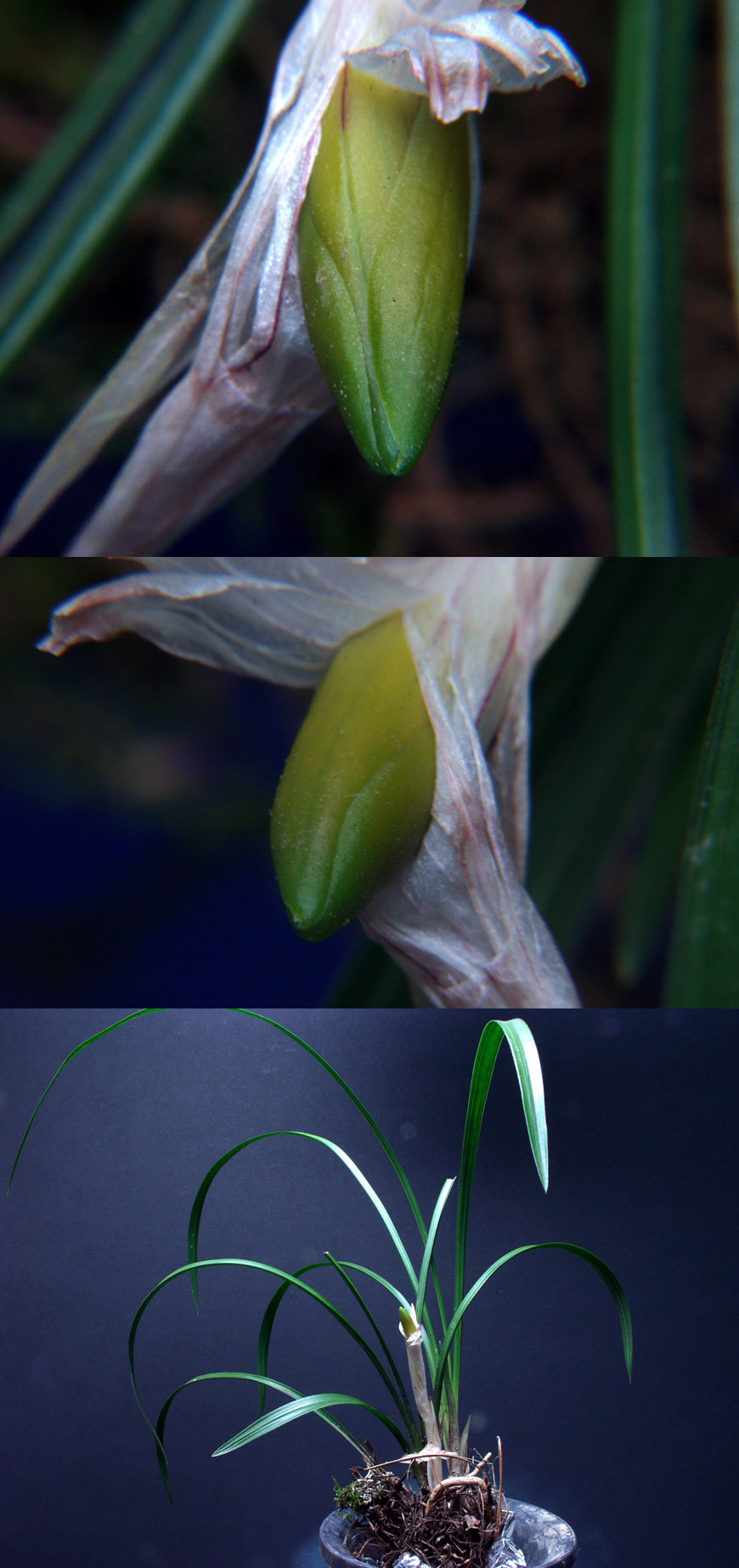 ������ ū������ �� �� �ֽ��ϴ�.