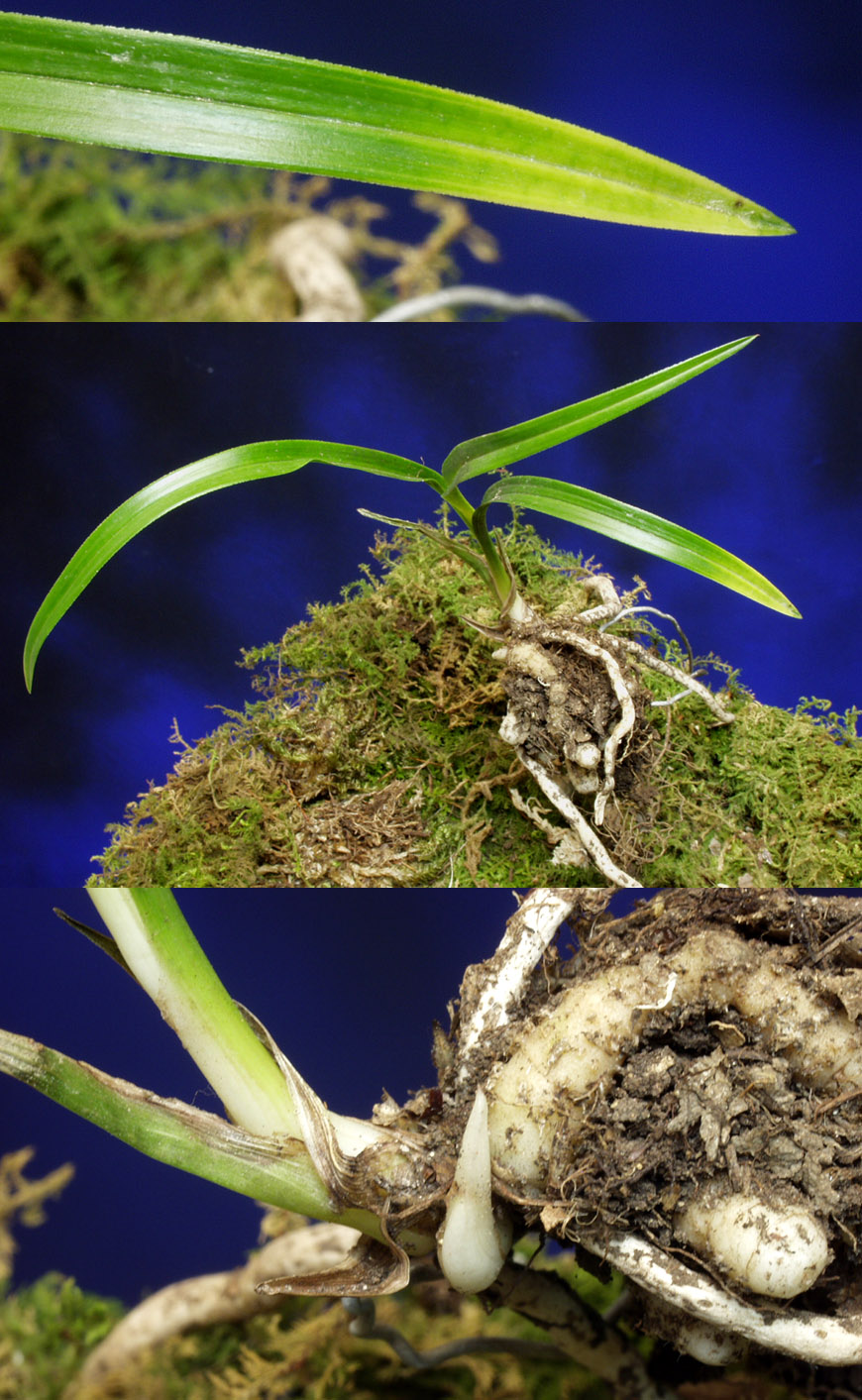 ������ ū������ �� �� �ֽ��ϴ�.