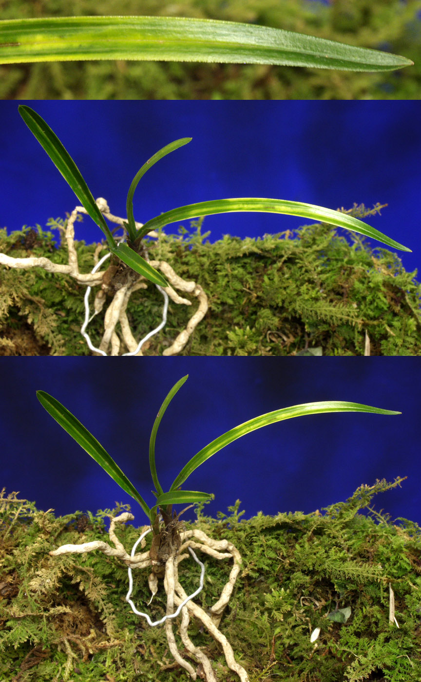 ������ ū������ �� �� �ֽ��ϴ�.