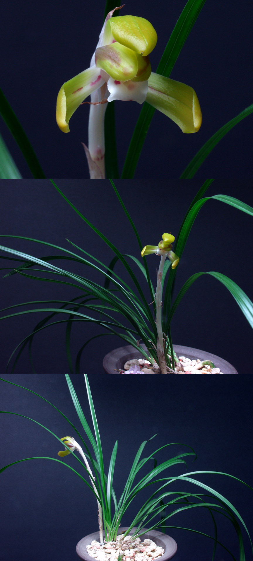 ������ ū������ �� �� �ֽ��ϴ�.