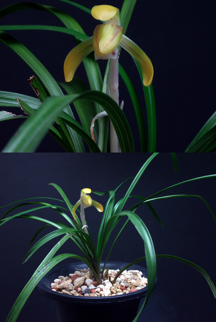 ������ ū������ �� �� �ֽ��ϴ�.