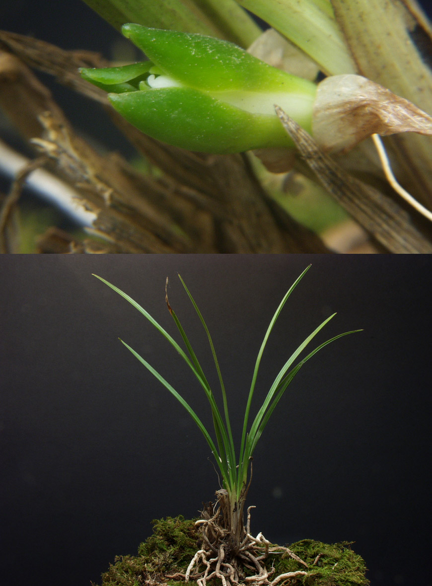 ������ ū������ �� �� �ֽ��ϴ�.