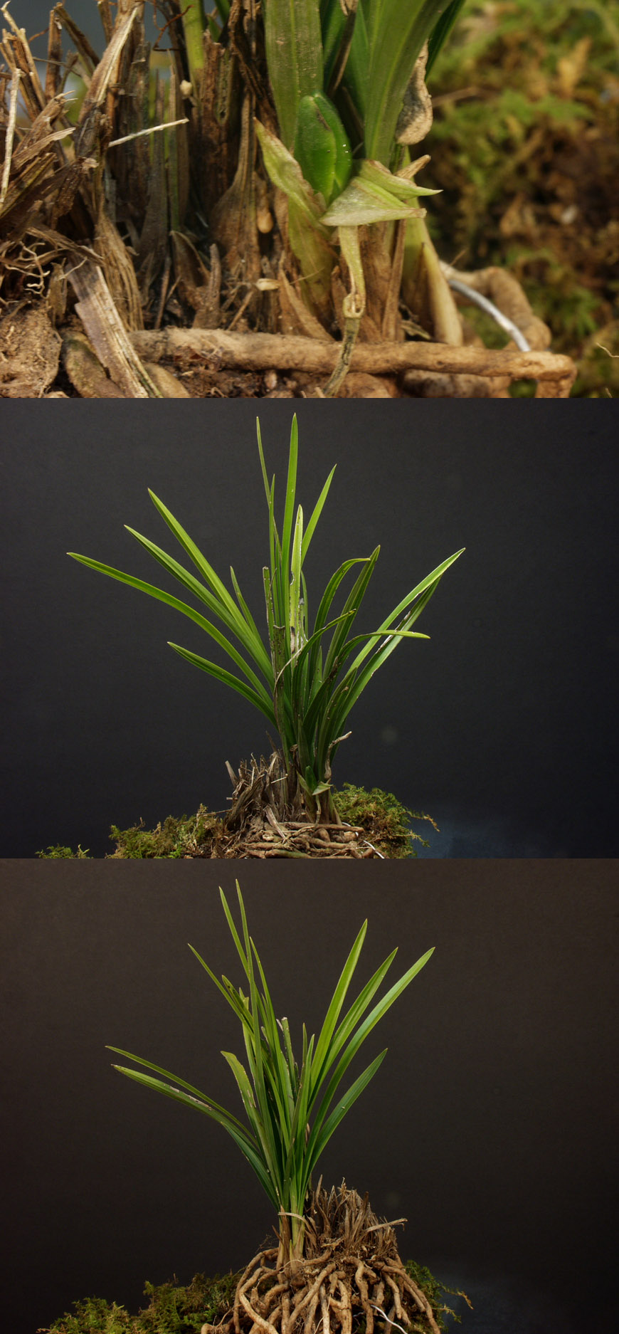 ������ ū������ �� �� �ֽ��ϴ�.