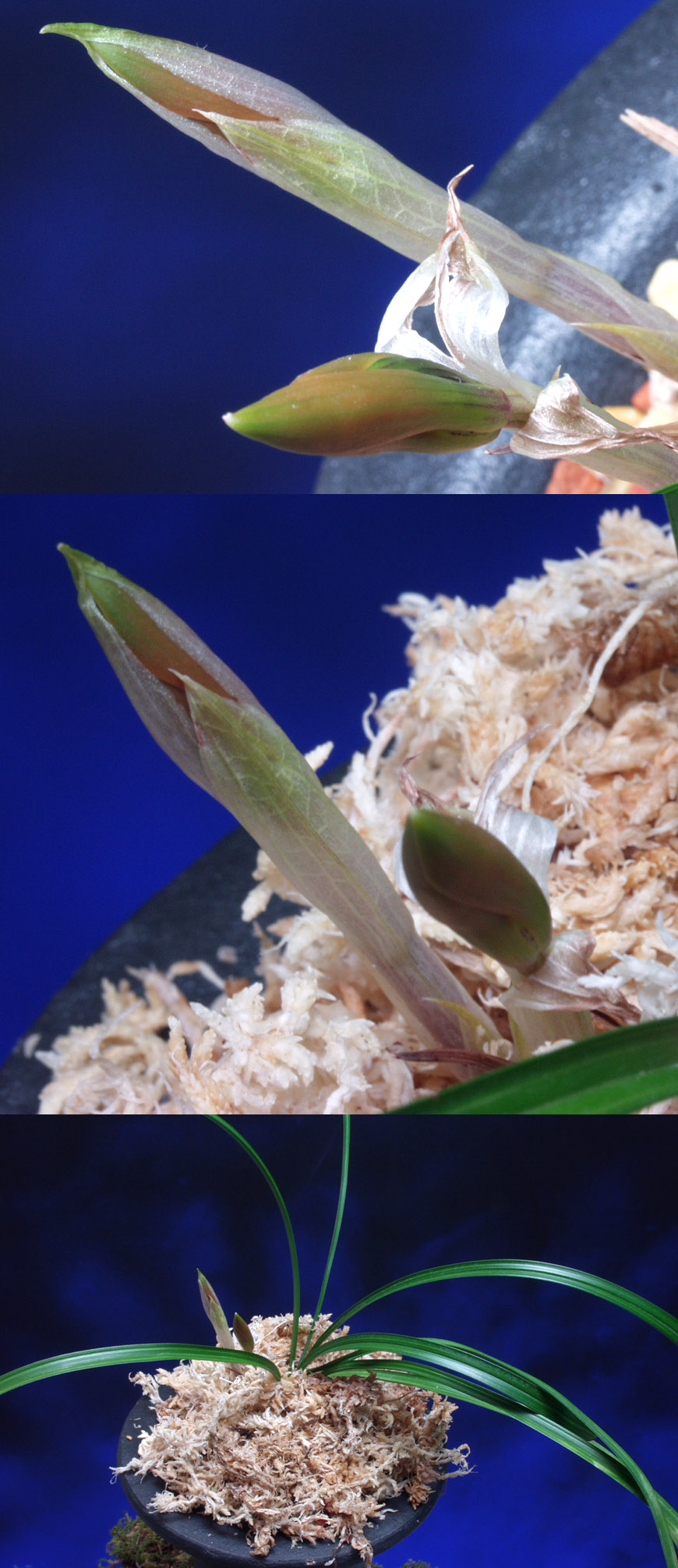 ������ ū������ �� �� �ֽ��ϴ�.