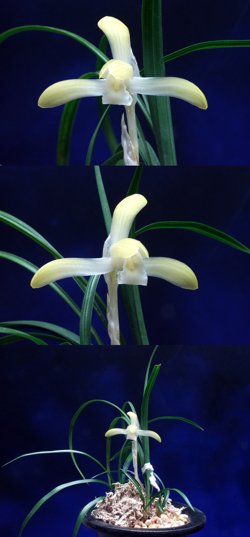 ������ ū������ �� �� �ֽ��ϴ�.