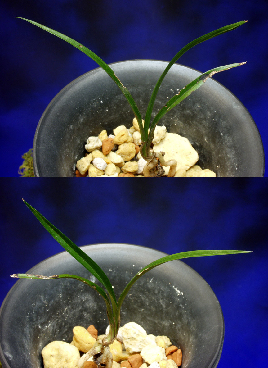 ������ ū������ �� �� �ֽ��ϴ�.