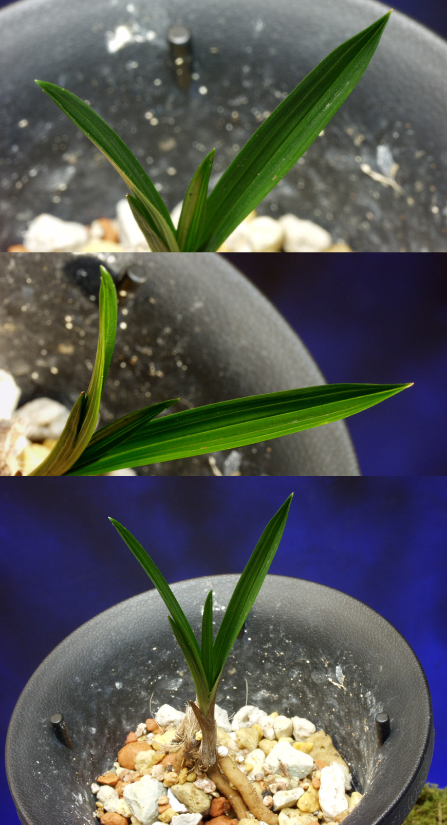 ������ ū������ �� �� �ֽ��ϴ�.