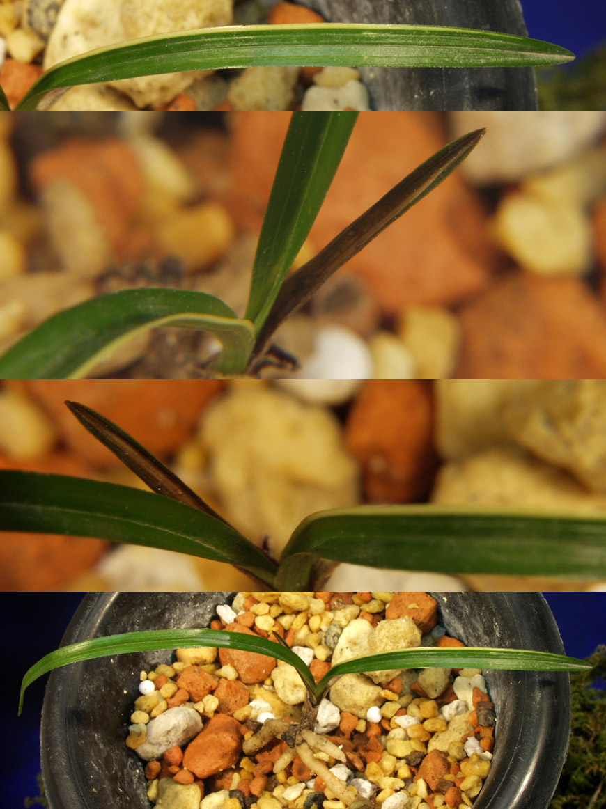 ������ ū������ �� �� �ֽ��ϴ�.