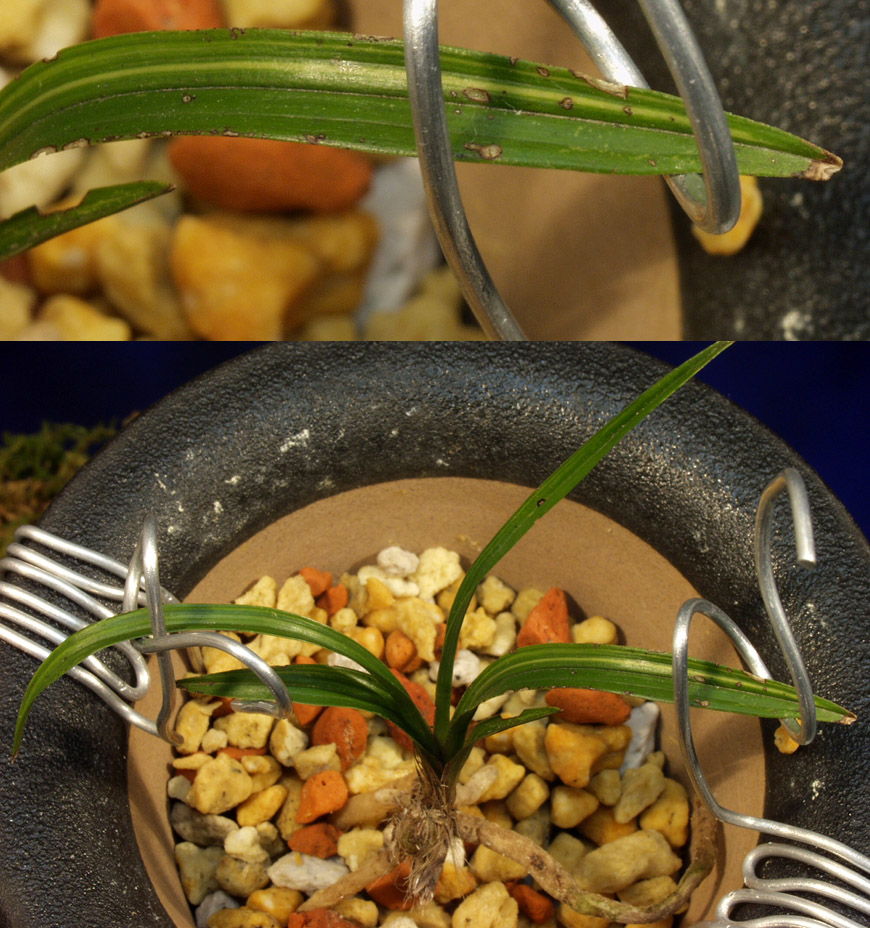 ������ ū������ �� �� �ֽ��ϴ�.