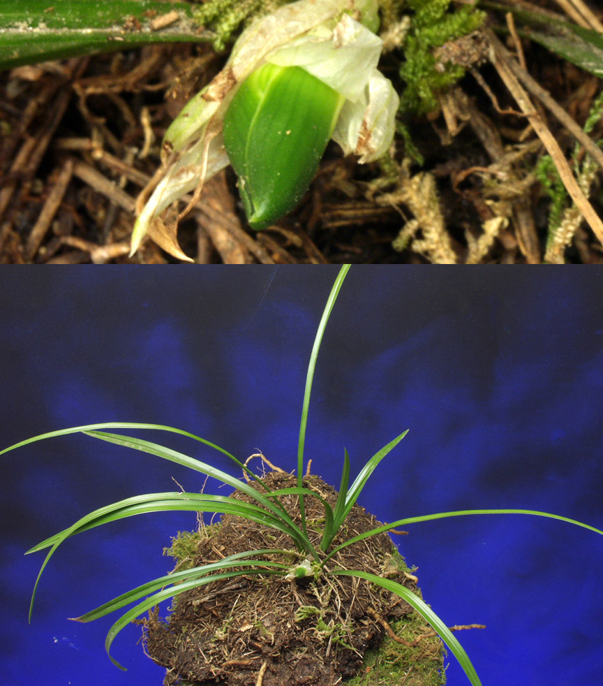 ������ ū������ �� �� �ֽ��ϴ�.