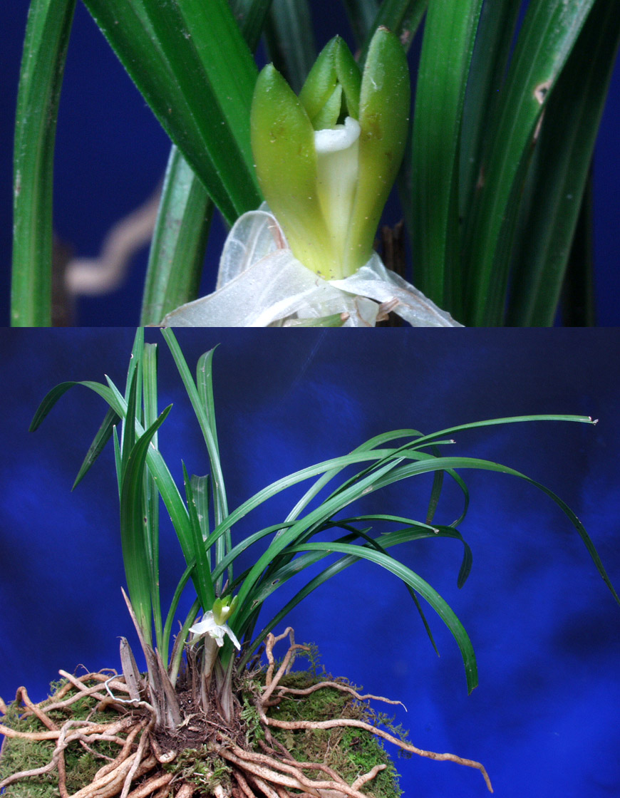 ������ ū������ �� �� �ֽ��ϴ�.