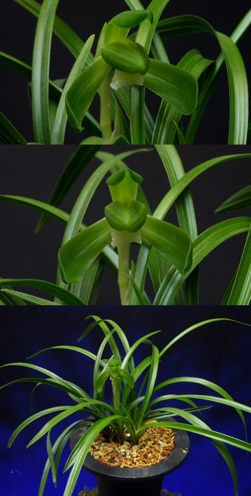 ������ ū������ �� �� �ֽ��ϴ�.