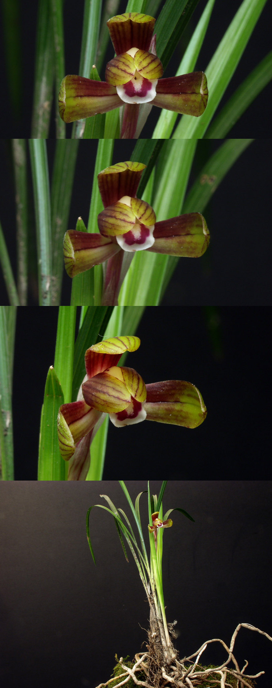 ������ ū������ �� �� �ֽ��ϴ�.