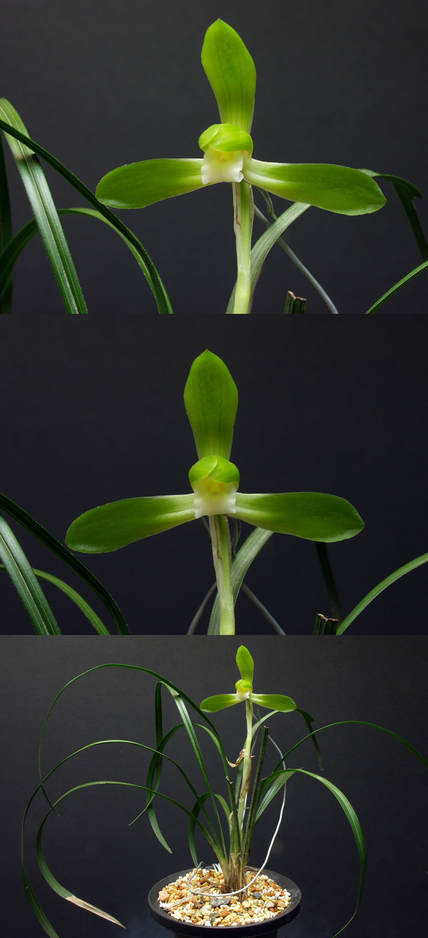 ������ ū������ �� �� �ֽ��ϴ�.