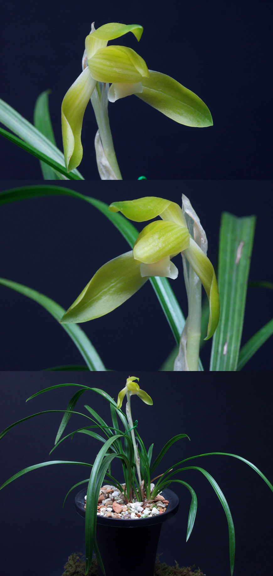 ������ ū������ �� �� �ֽ��ϴ�.