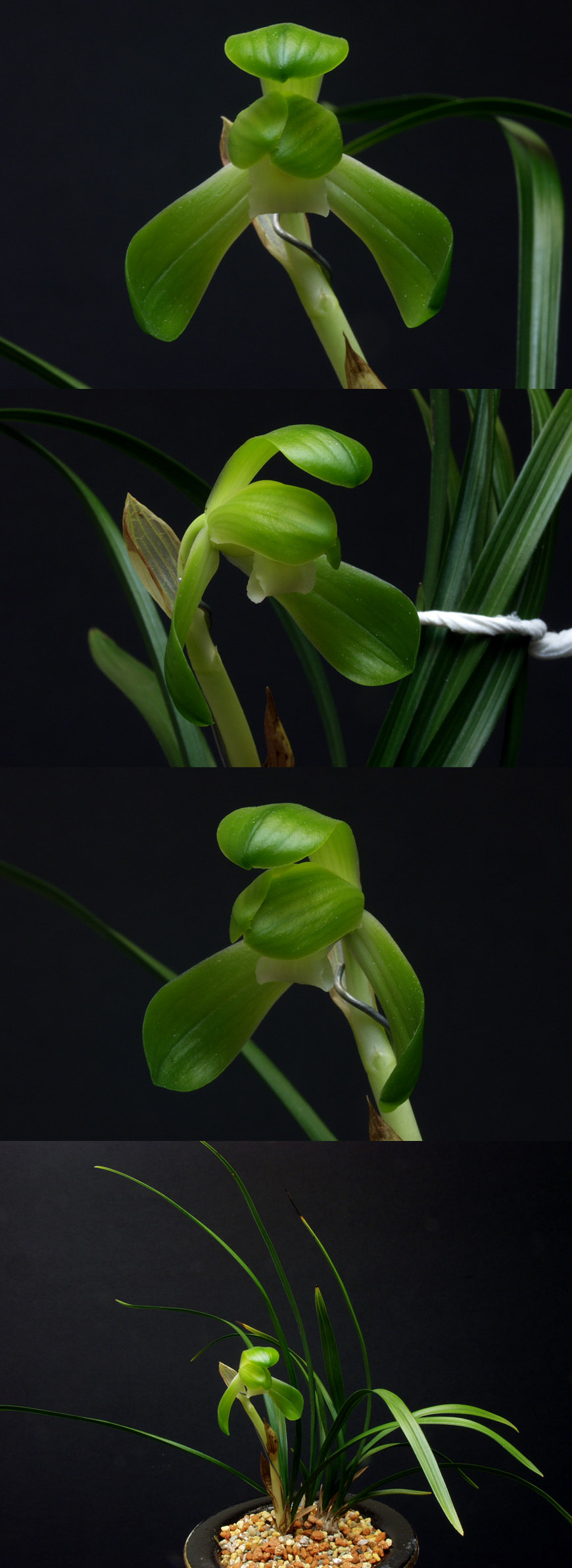 ������ ū������ �� �� �ֽ��ϴ�.