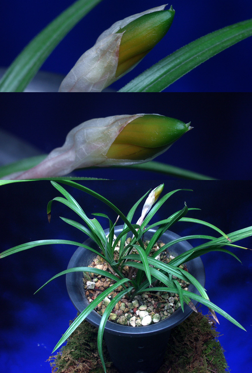 ������ ū������ �� �� �ֽ��ϴ�.