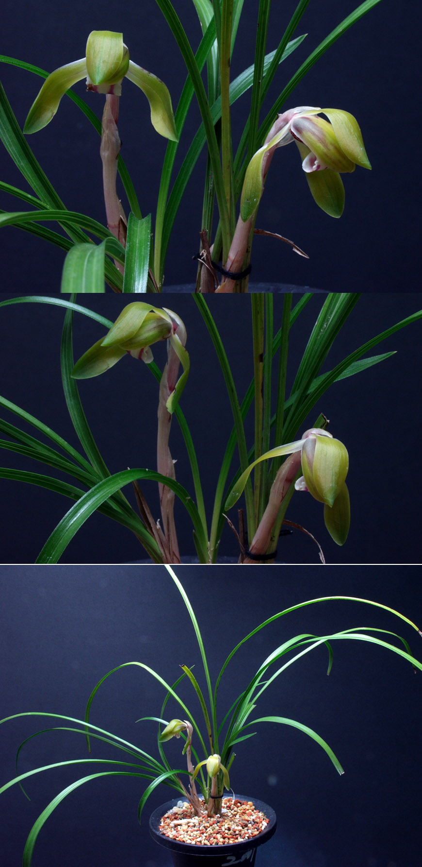 ������ ū������ �� �� �ֽ��ϴ�.