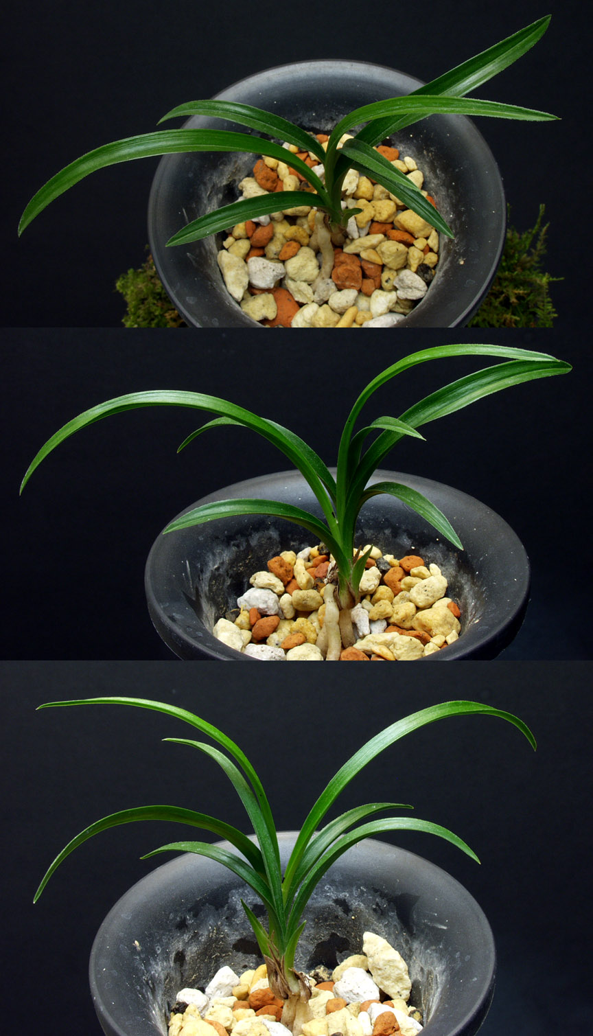 ������ ū������ �� �� �ֽ��ϴ�.