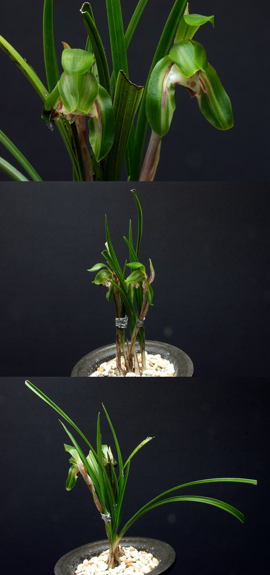 ������ ū������ �� �� �ֽ��ϴ�.