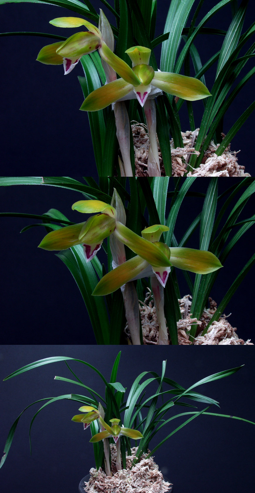 ������ ū������ �� �� �ֽ��ϴ�.