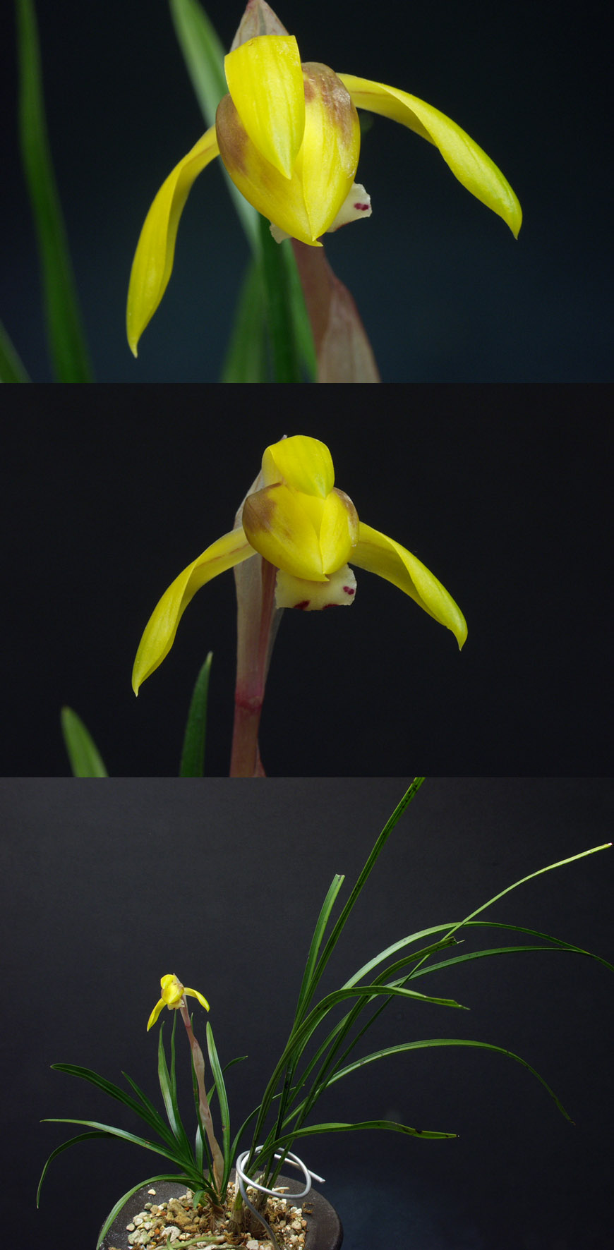 ������ ū������ �� �� �ֽ��ϴ�.