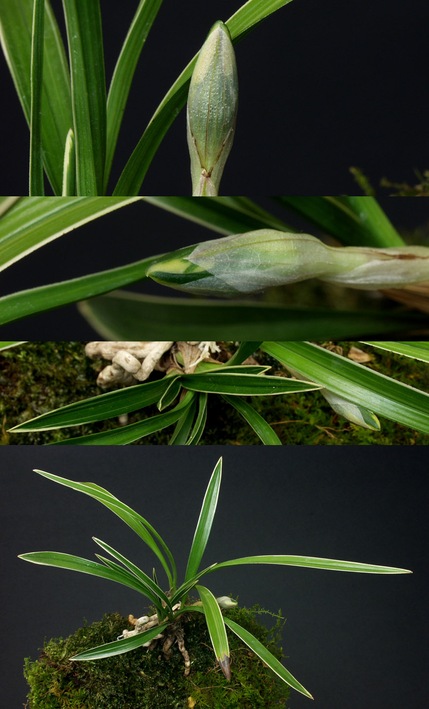 ������ ū������ �� �� �ֽ��ϴ�.