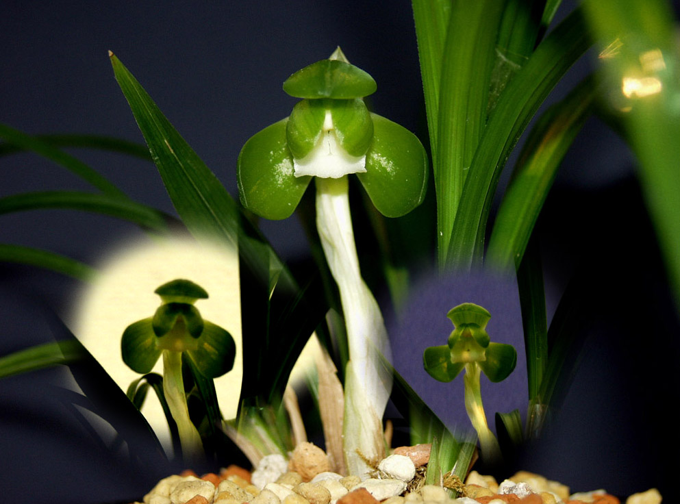 ������ ū������ �� �� �ֽ��ϴ�.