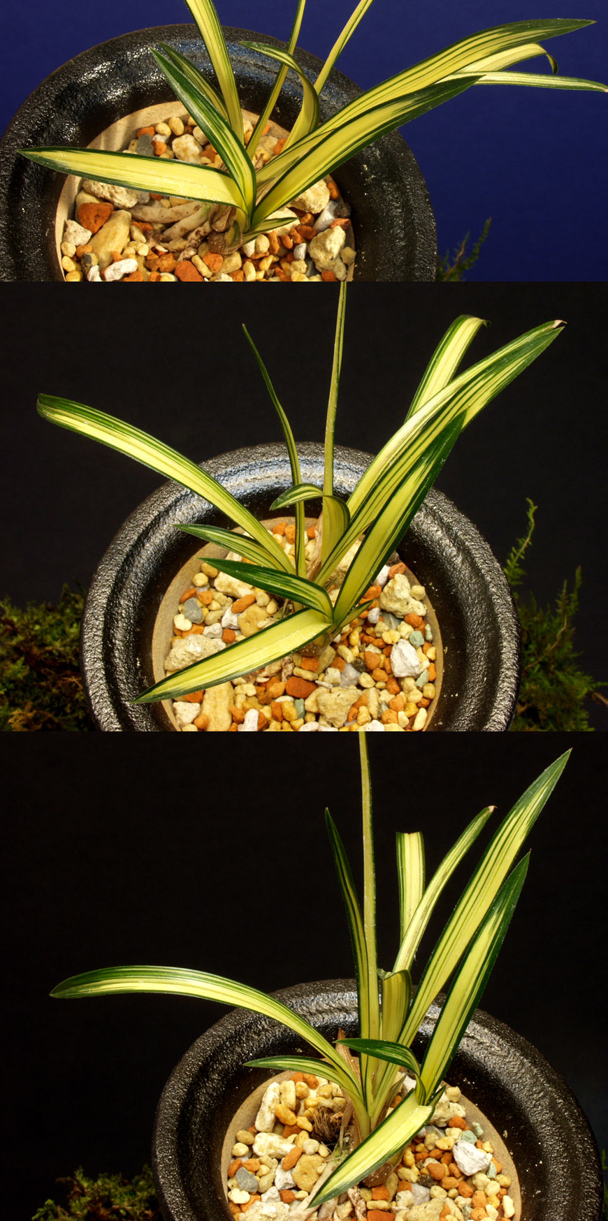 ������ ū������ �� �� �ֽ��ϴ�.