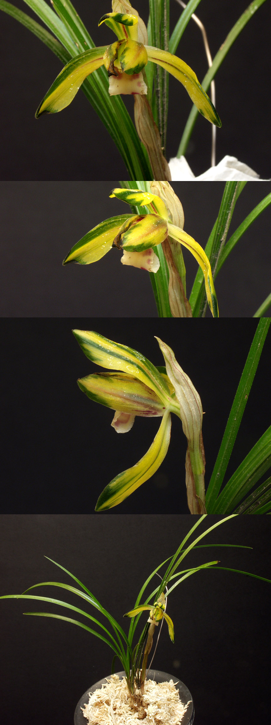 ������ ū������ �� �� �ֽ��ϴ�.