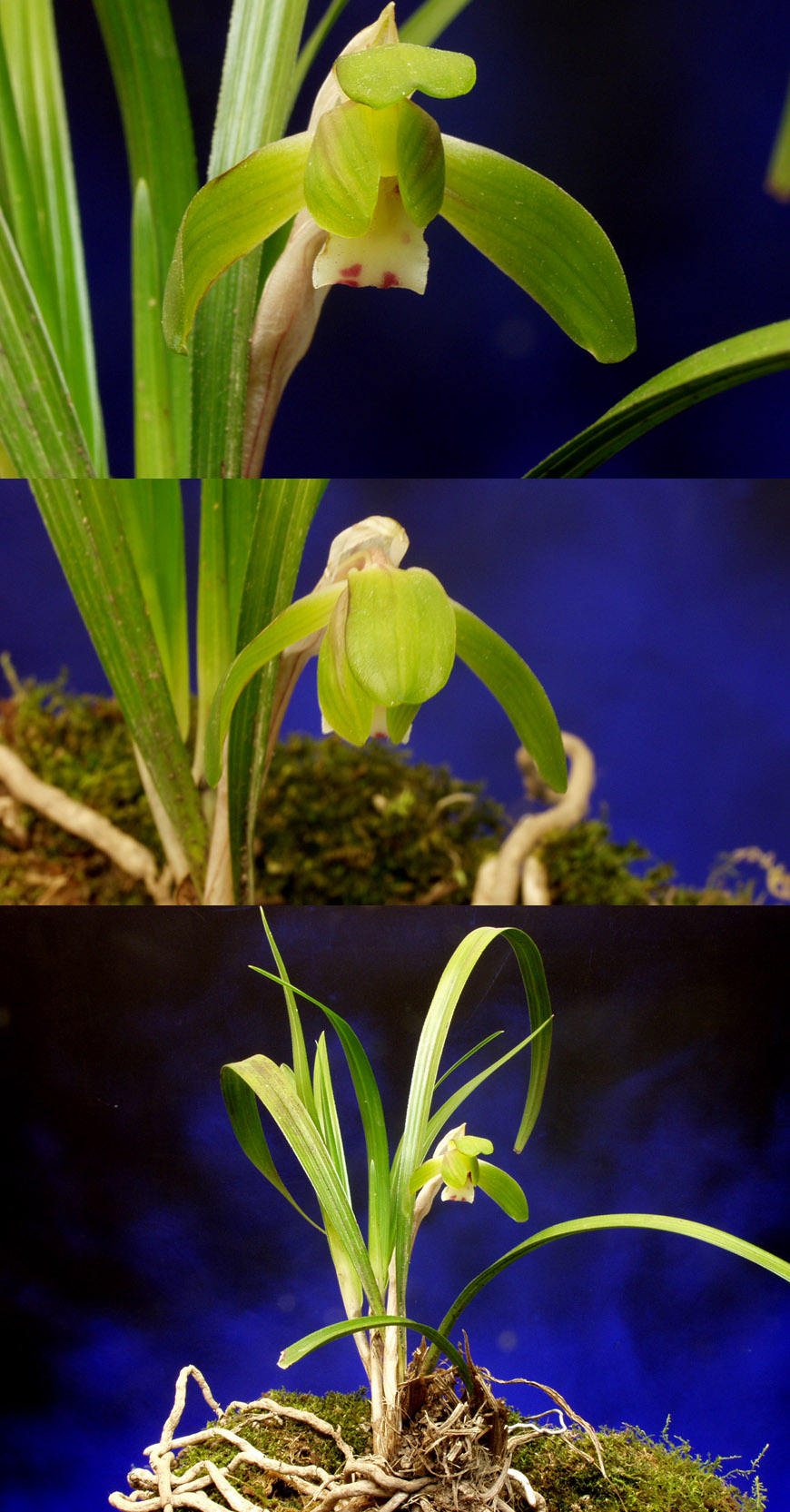 ������ ū������ �� �� �ֽ��ϴ�.