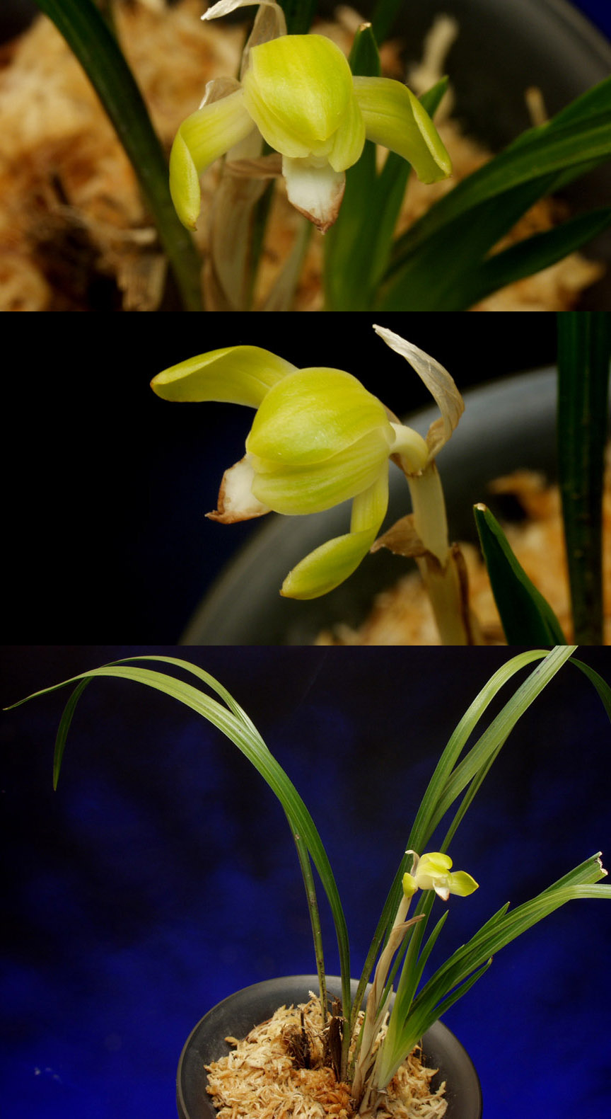 ������ ū������ �� �� �ֽ��ϴ�.