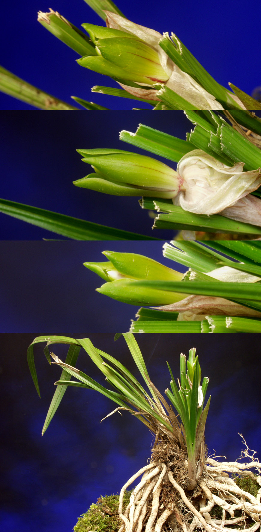 ������ ū������ �� �� �ֽ��ϴ�.