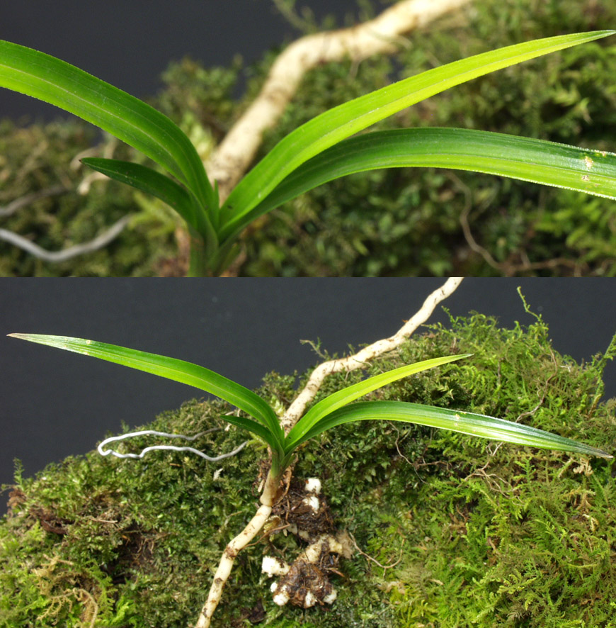 ������ ū������ �� �� �ֽ��ϴ�.