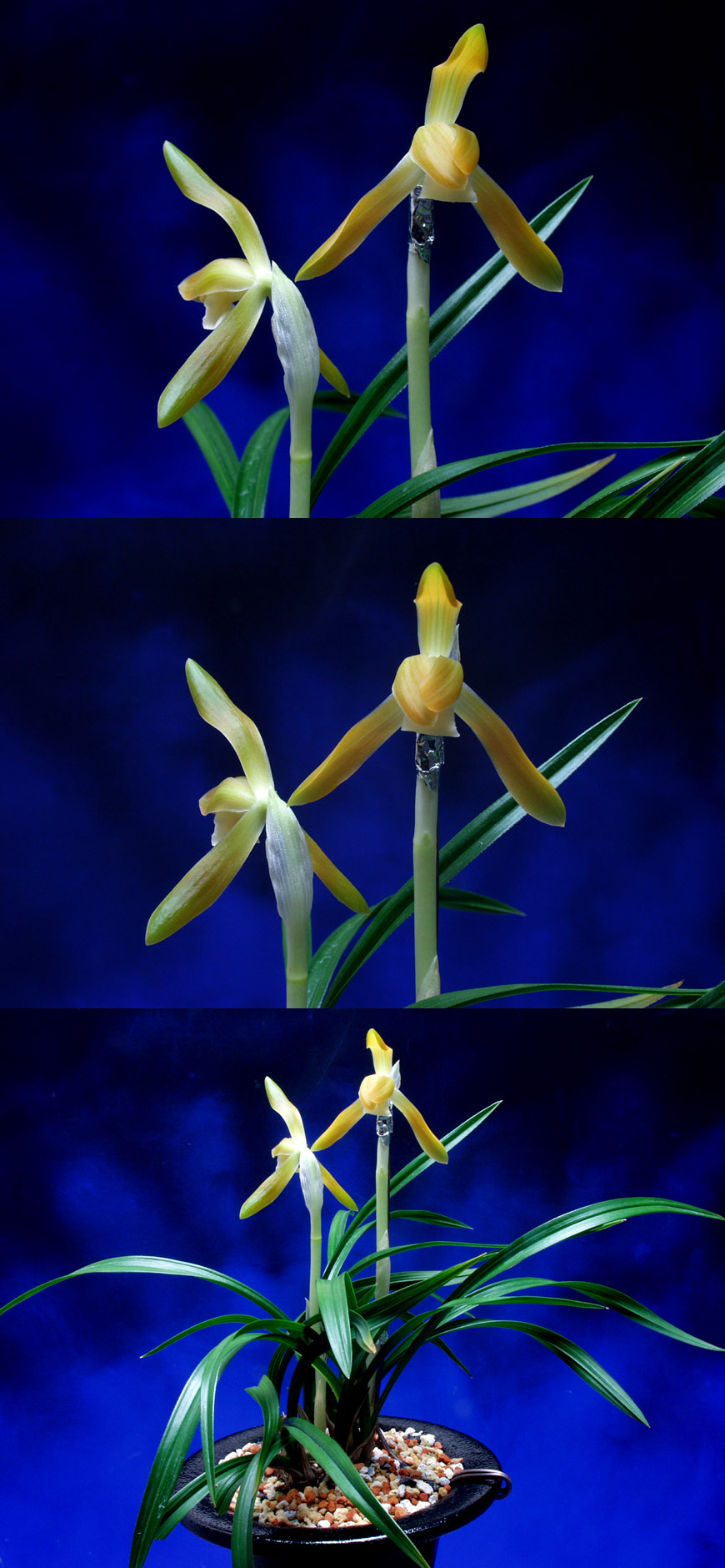 ������ ū������ �� �� �ֽ��ϴ�.