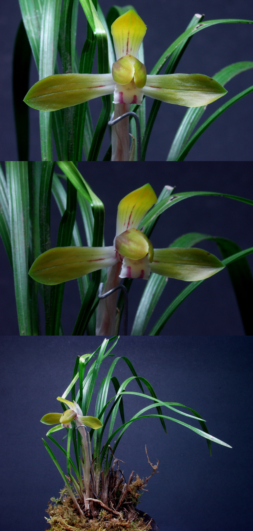 ������ ū������ �� �� �ֽ��ϴ�.