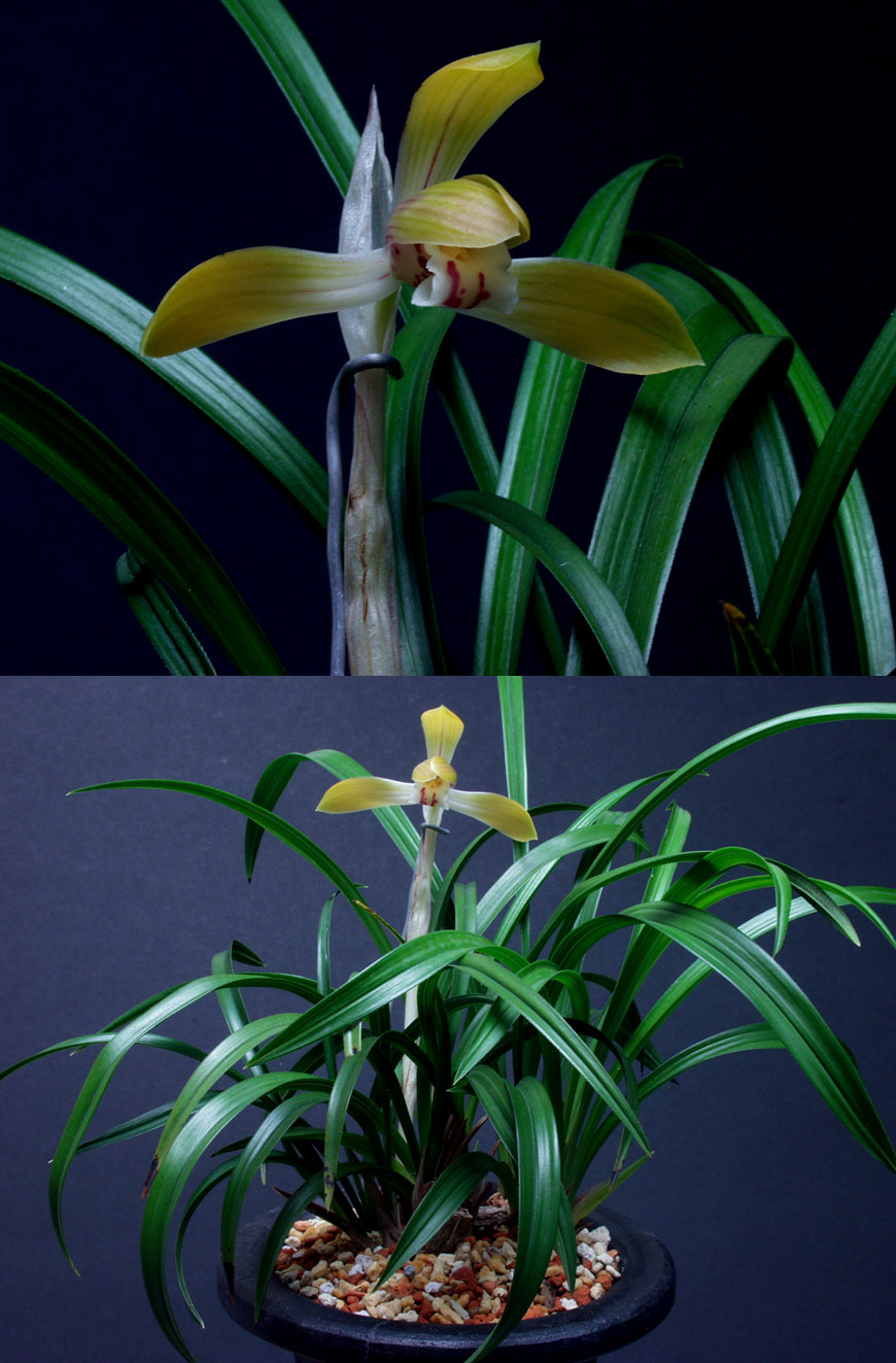 ������ ū������ �� �� �ֽ��ϴ�.