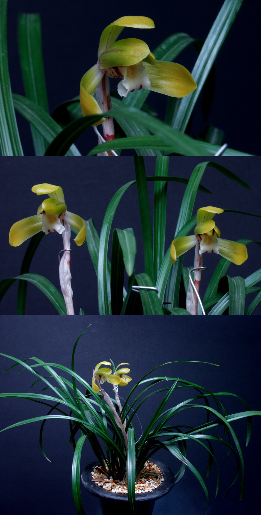 ������ ū������ �� �� �ֽ��ϴ�.