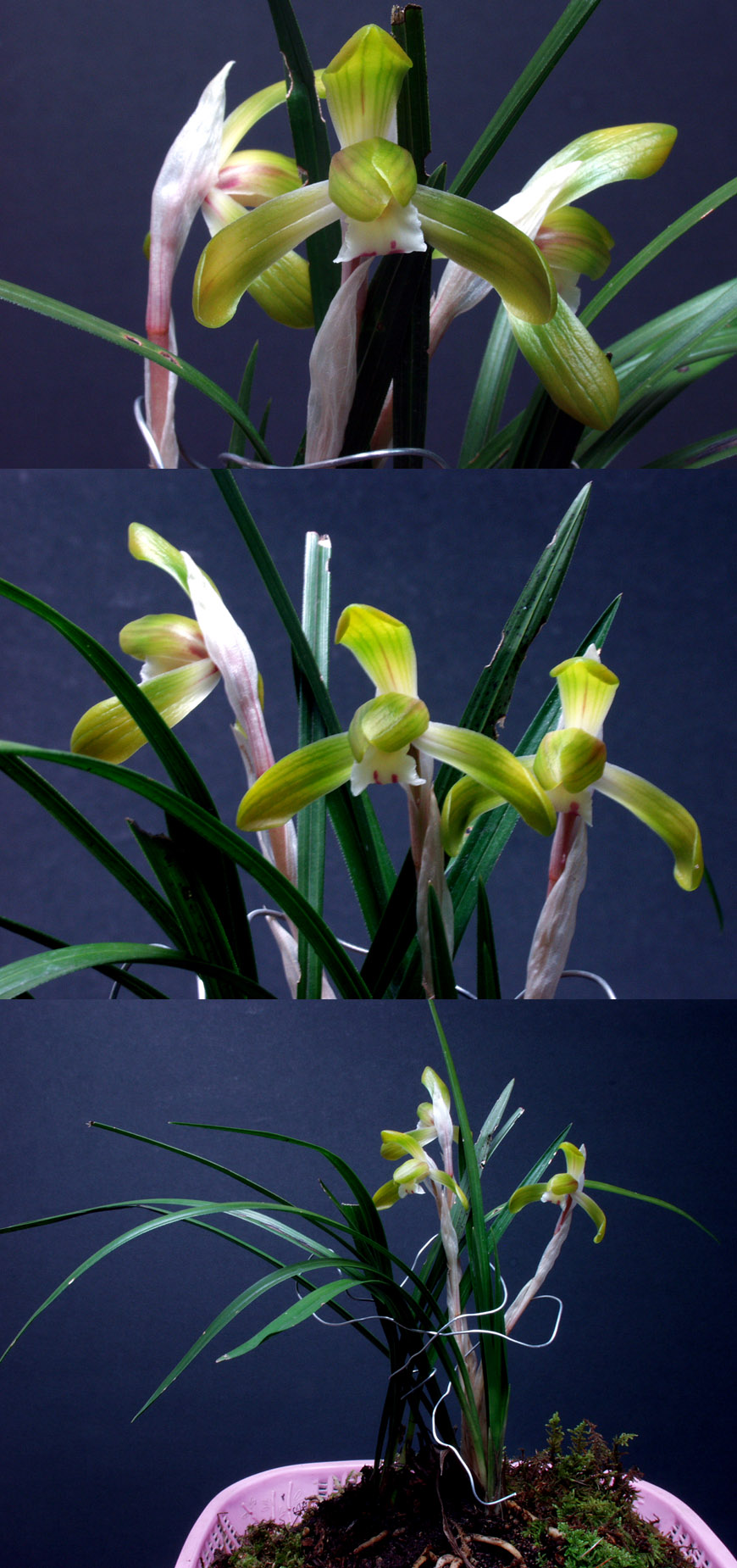 ������ ū������ �� �� �ֽ��ϴ�.