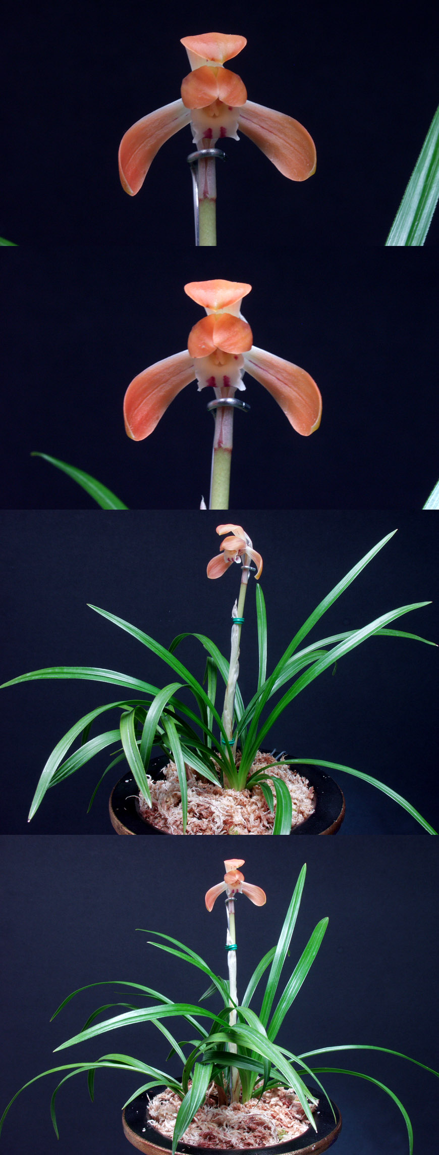 ������ ū������ �� �� �ֽ��ϴ�.