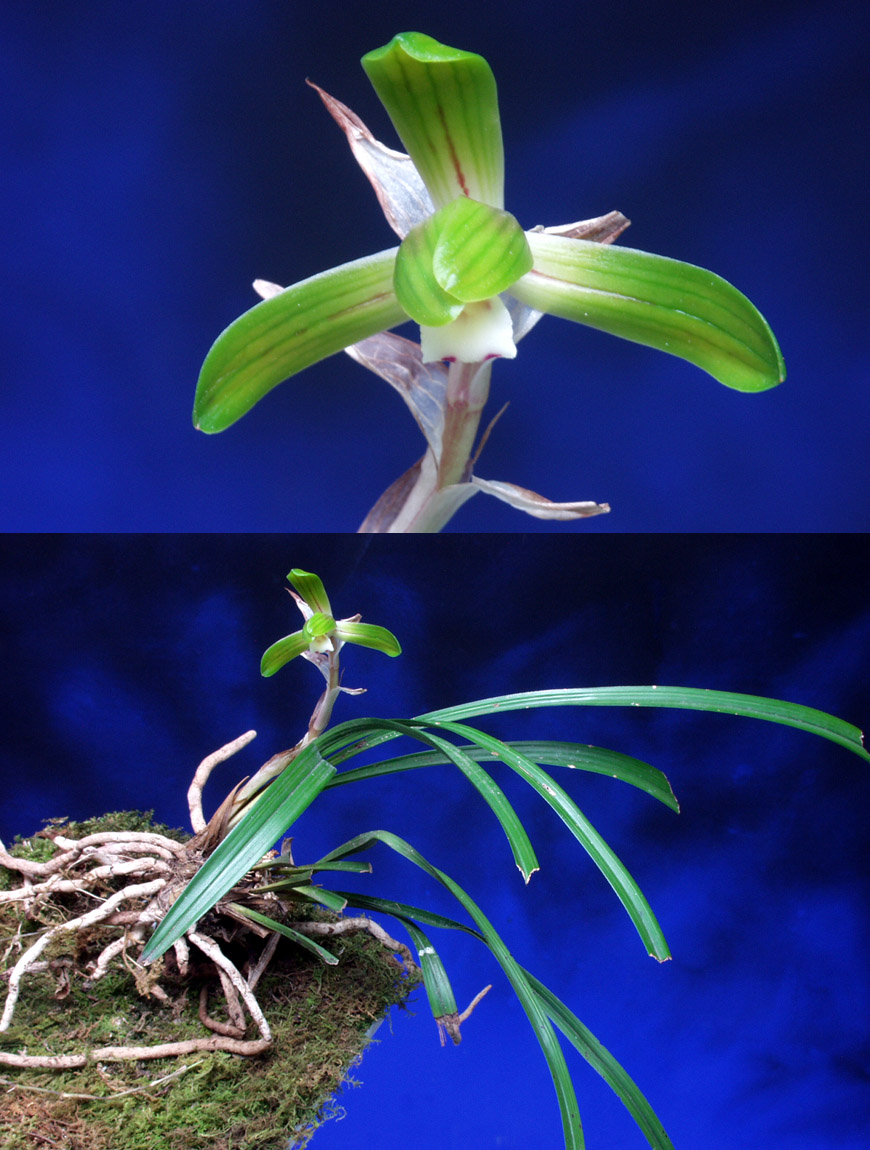 ������ ū������ �� �� �ֽ��ϴ�.