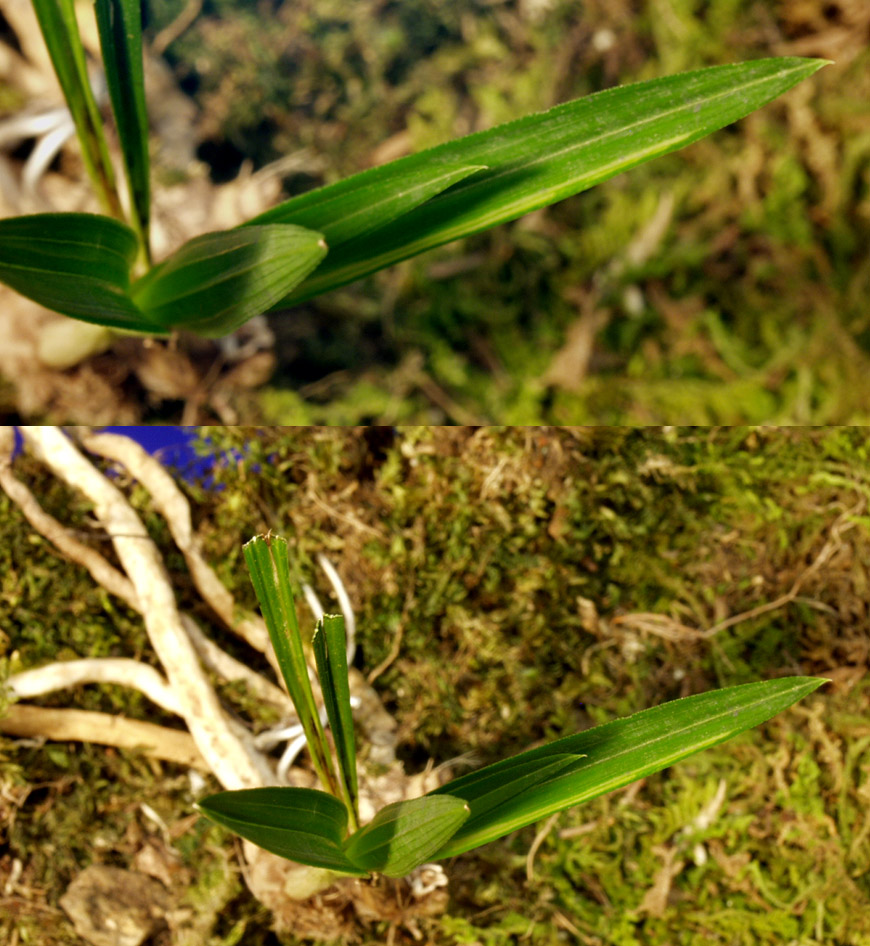 ������ ū������ �� �� �ֽ��ϴ�.