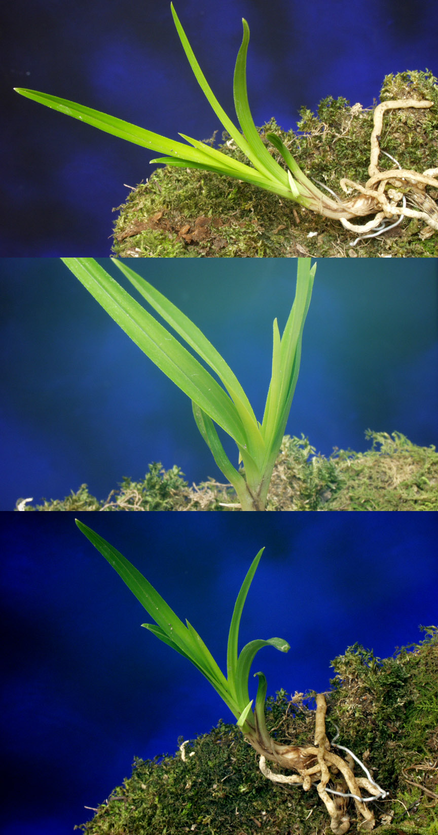 ������ ū������ �� �� �ֽ��ϴ�.