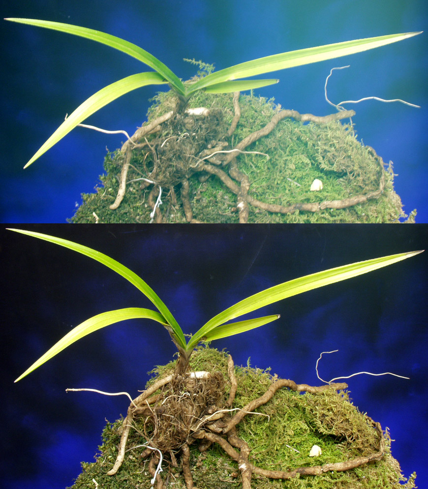 ������ ū������ �� �� �ֽ��ϴ�.