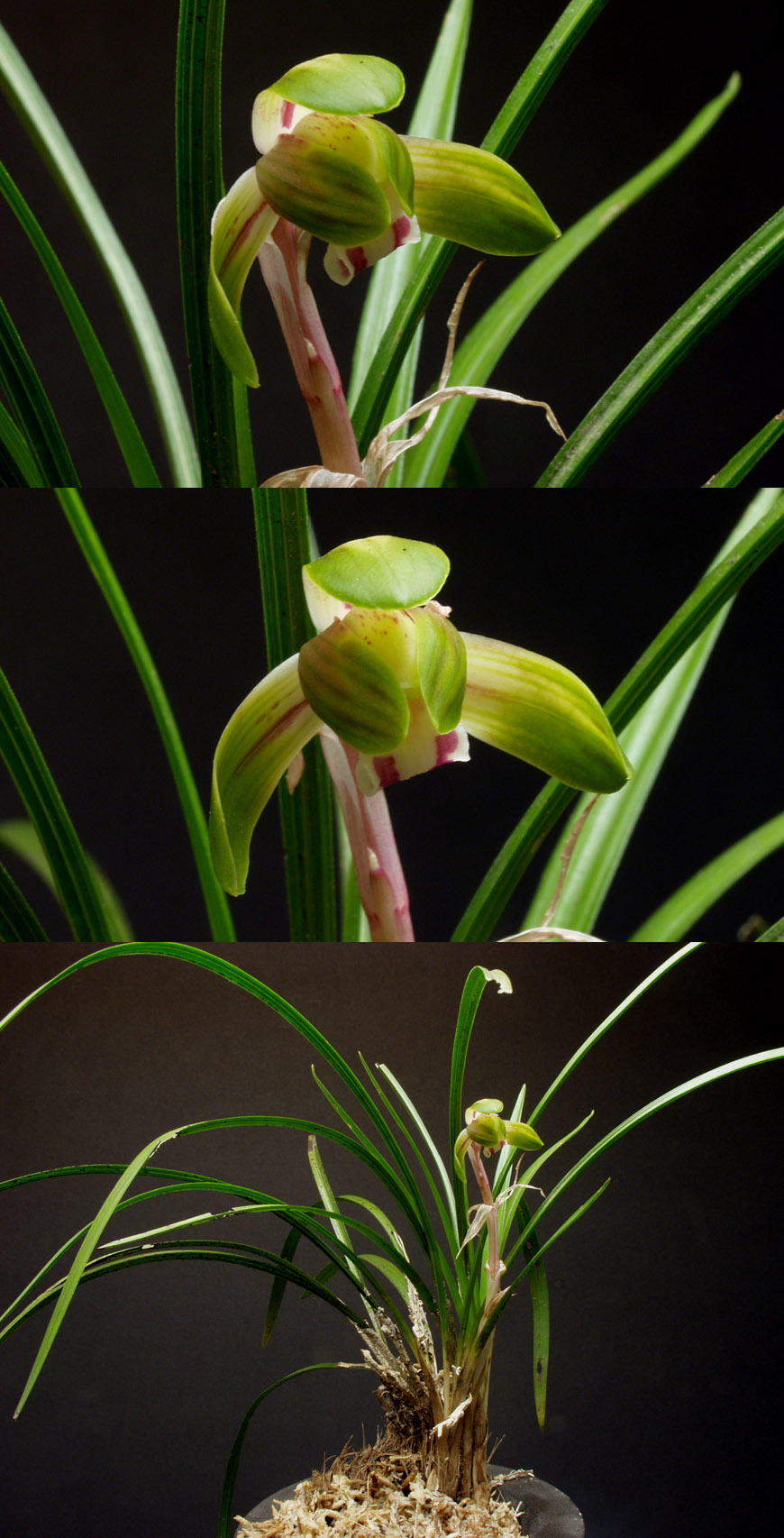 ������ ū������ �� �� �ֽ��ϴ�.