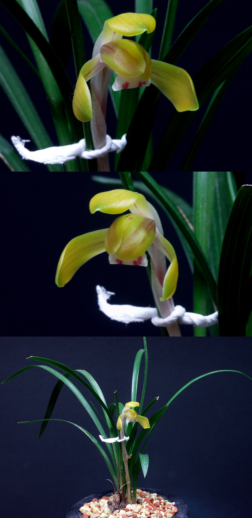 ������ ū������ �� �� �ֽ��ϴ�.