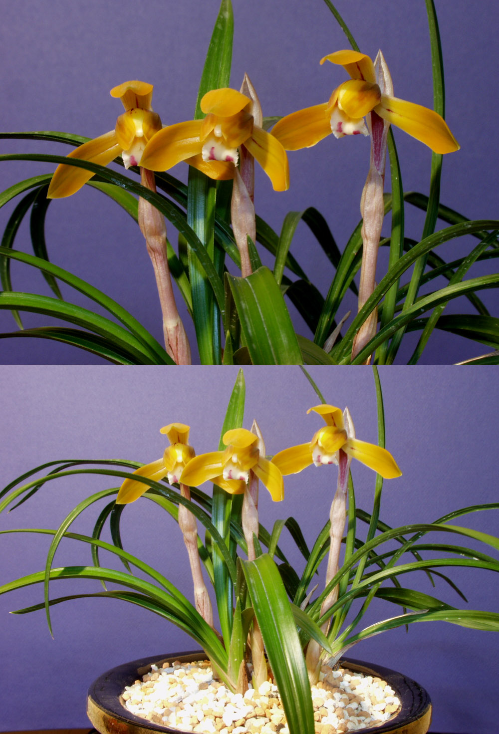 ������ ū������ �� �� �ֽ��ϴ�.